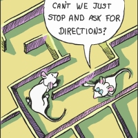 Two mice walk into a maze ...